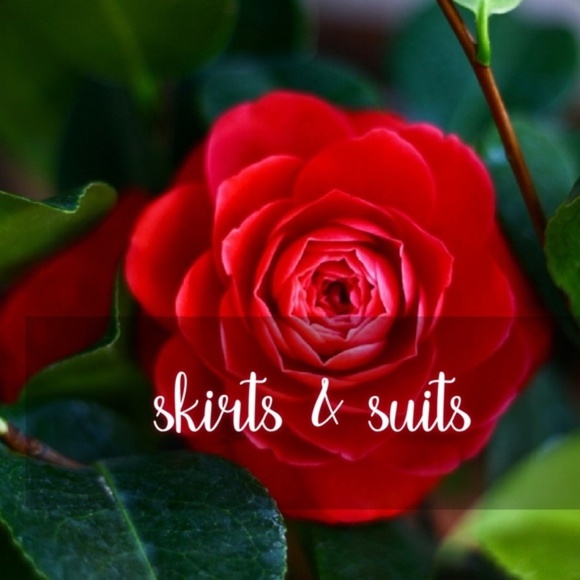 FALL CLOSET SALE! SKIRTS - Picture 1 of 4